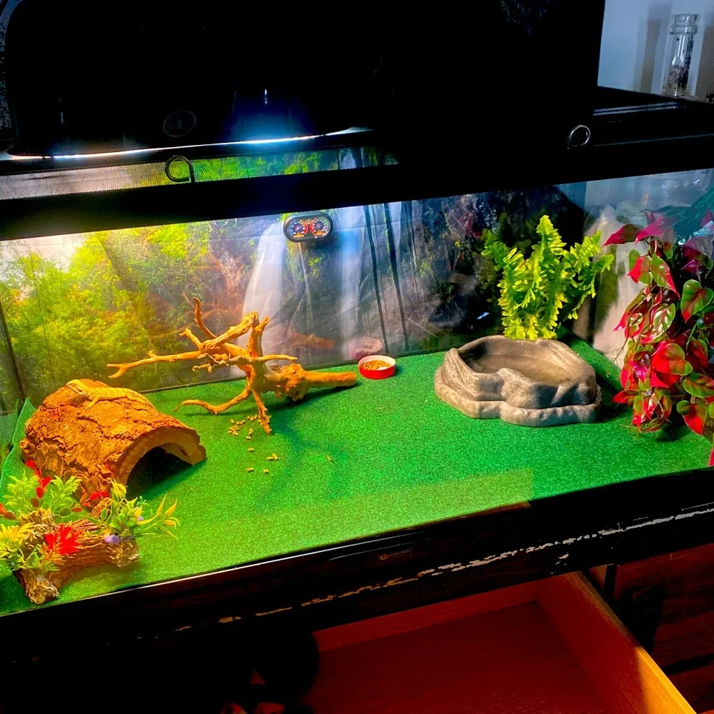 Reptile tank